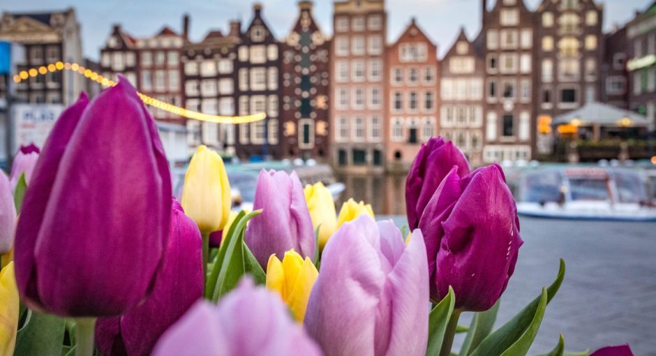 flowers beside the amsterdam