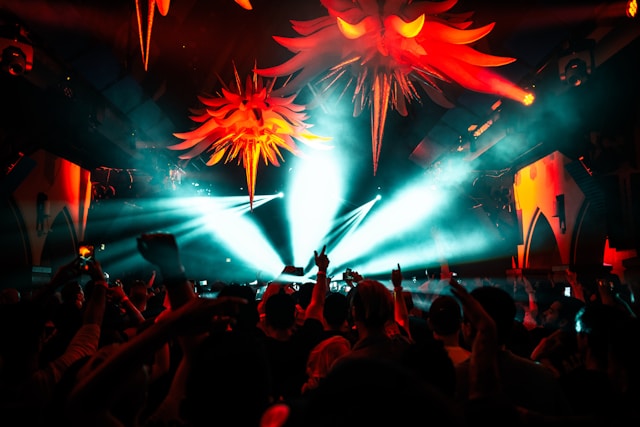 people-watching-concert-during-night-time
